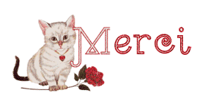 gif animé merci chat